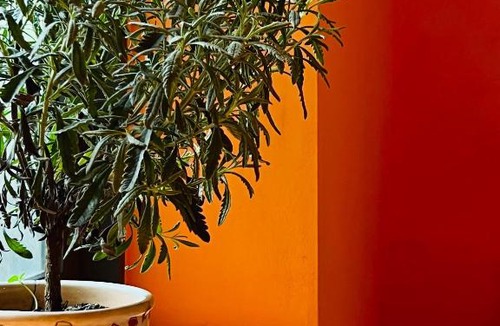 Quy Nhon House | Em's Garden Quy Nhơn
