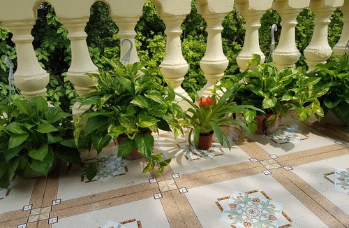 Ngoc Ha House | Entire TU House Homestay with 7 Bedrooms fits up to 20 guests