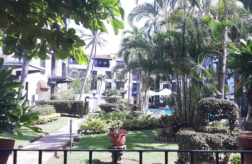 Fluvial Vallarta House | Experience Authentic Mexico - Incredible Value - Best Location In PV