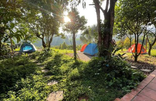 Da Huoai House | FarmStay Vua Sầu Riêng