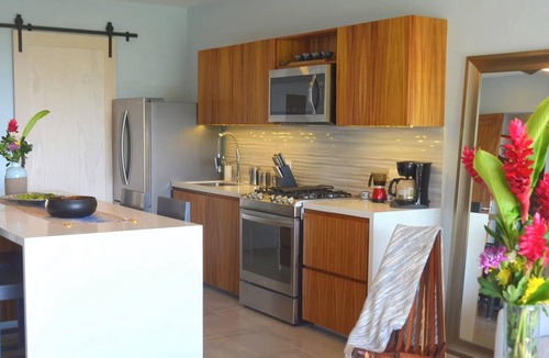 P Chahue Condo | Featured on HGTV -Majestic Ocean/Mountain View-PH w/PRIVATE POOL- No Car Needed