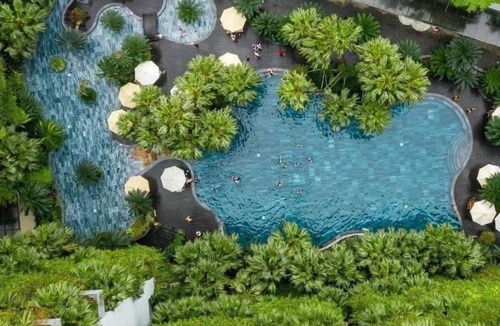 Ngoc Thanh Apartment | Flamingo Dai Lai Resort - Forest In The Sky Executive F220