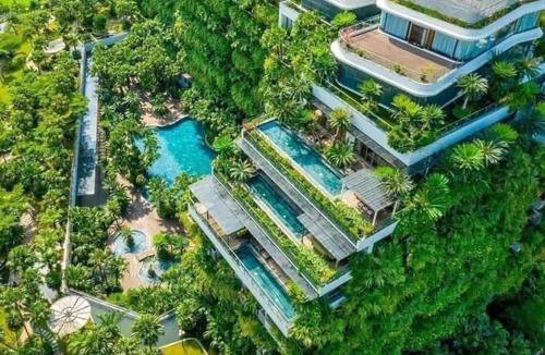 Ngoc Thanh Apartment | Flamingo Dai Lai Resort - Forest In The Sky Executive F220