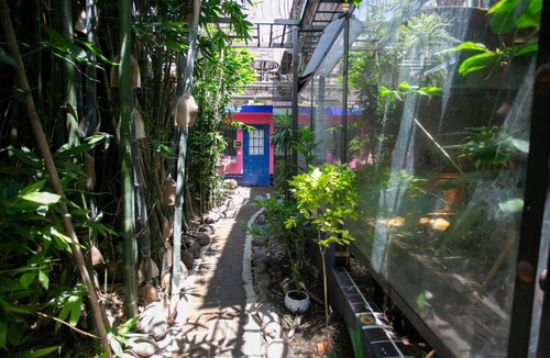 Cholula Apartment | Frida by Majikal B&B