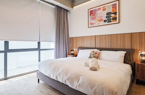 Roma Norte Hotel | Frida Kahlo Official Department, Roma Norte
