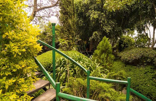 Campestre Apartment | GARDEN HOUSE 1 BDR/DOUBLE BED/FULL BATHROOM/KITCHEN/LIVING & DINING ROOM