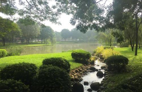Tan Phu District Apartment | GEM EMERALD - Celadon City Tân Phú