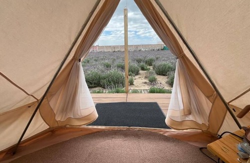 Texcoco de Mora RV Rental | Glamping Rincón de Lavanda