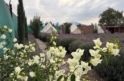 Texcoco de Mora RV Rental | Glamping Rincón de Lavanda