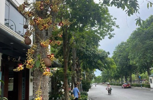 Thai Binh Hotel | Golden Thai binh Hotel