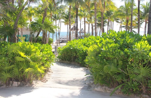 Centro Resort | Grand Luxxe Villa - Riviera Maya - Families, Couples, Celebrations, Small Groups