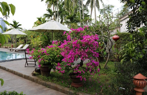 Cam Thanh Villa | Green Areca villa