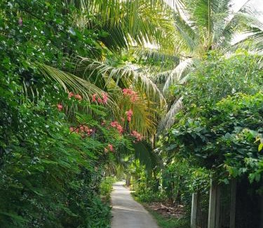 Giong Trom Cabin | Green Coconut Island