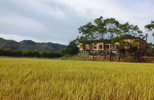 Phong Nha House | Greenfield Ecostay - Duluxe Double Field Room - Quang Binh