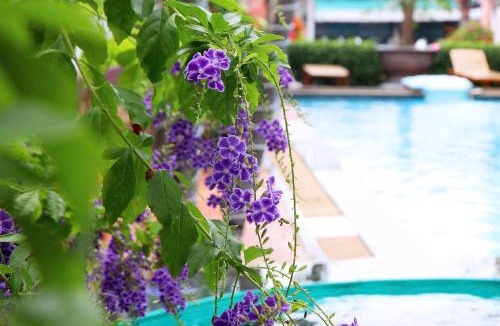 Central Mui Ne Beach Hotel | Ha Phuong Mui Ne Hotel