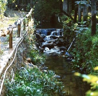 Buon Ma Thuot Apartment | Harmony Botanical Garden Stay - 300 Plant Species & Natural Stream in the Heart of Buon Ma Thuot