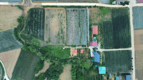 Nho Quan Hostel | Herbal Farm Day Retreat- Viên Thông Đường