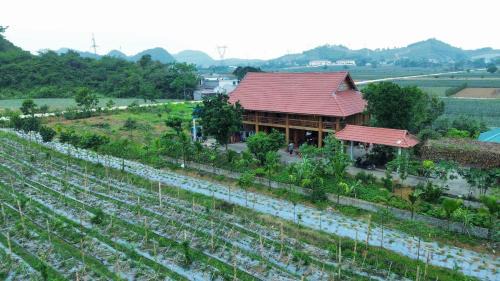 Nho Quan Hostel | Herbal Farm Day Retreat- Viên Thông Đường