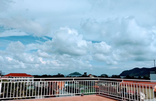 Con Son House | High Quality with Reasonable Price