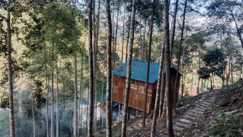 Ban Pho House | Higland Homestay Bac Ha