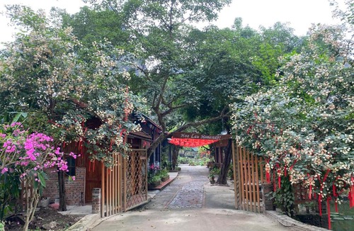 Hoa Lu Cabin | Hoa Lau Homestay Tràng An
