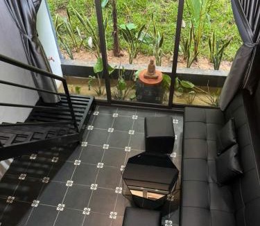 Son Trach House | Home for Pet Lovers - Nguyen Shack