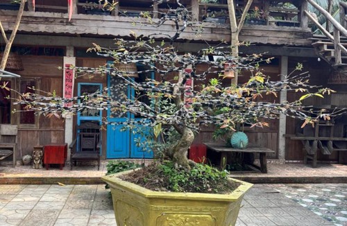 Chau Thanh House | Homestay Ông giáo