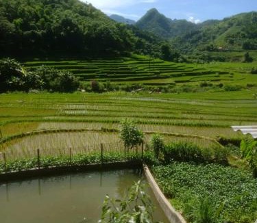 Pu Long Nature Reserve Apartment | homestay chill Pu luông