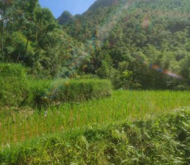 Pu Long Nature Reserve Apartment | homestay chill Pu luông