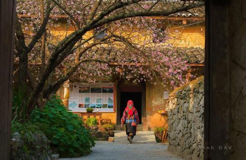 Dong Van House | Homestay & Cafe Cực Bắc