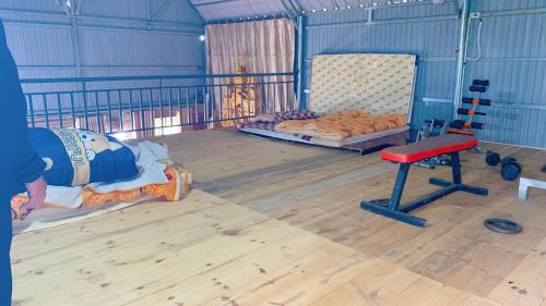 Kon Plong Apartment | Homestay & Coffee Đồi Xa Phố