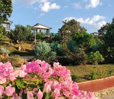 Bao Loc Apartment | Homestay hichi