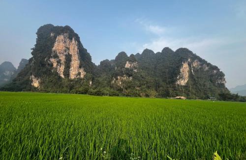Lam Binh Apartment | Homestay Hoàng Tuấn