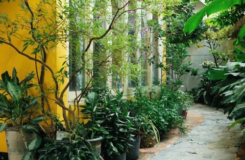 Hoa Thanh House | Homestay in Tay Ninh