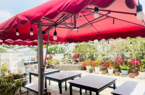 Phuong Apartment | Homestay M-Latino Dalat