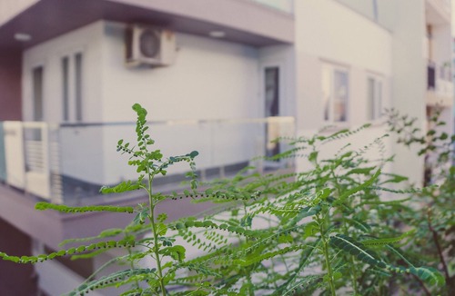 Tan Phu District House | Homestay Sunny's House