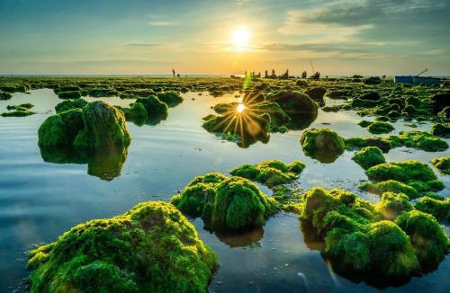 Khanh Hai Hotel | Homestay tốt nhất biển Ninh Thuận GIA VIÊN NINH CHỮ