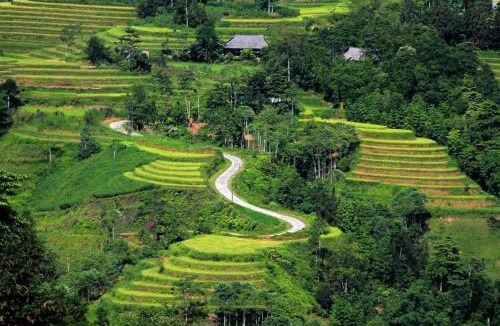 Thong Nguyen Hotel | Homestay Tay Eco House
