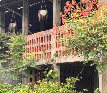Trang Bom House | Homestay tay