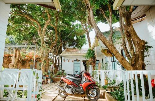 Pleiku House | Homestay Vườn nhãn