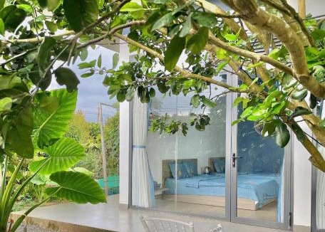 Bao Loc House | Homestay Vườn Trái Cây Nhiệt Đới VÔ ƯU GARDEN