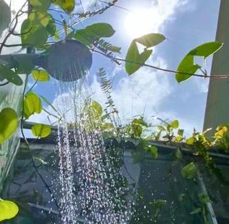Buon Ma Thuot Apartment | Homestay Xóm Rau