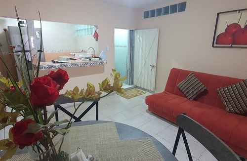 Venustiano Carranza Apartment | Hospedaje de la Rosa