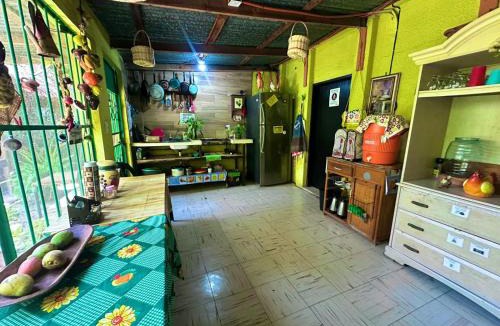 Zona Centro House | Hostal Casa Huasteca