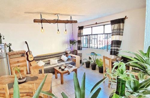 De Guadalupe Hostel | Hostel Boutique 55