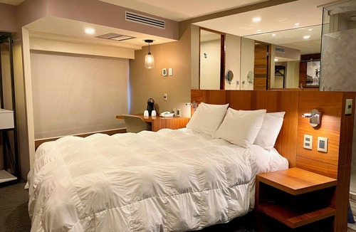 Zona Rosa Hotel | Hotel Cle Reforma Insurgentes