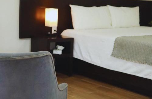 Alvaro Obregon Hotel | Hotel Ejecutivo Aeropuerto