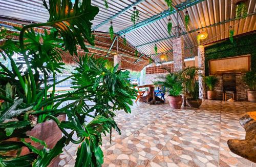 Mario Villanueva Madrid Hotel | Hotel Vias Maya Bacalar