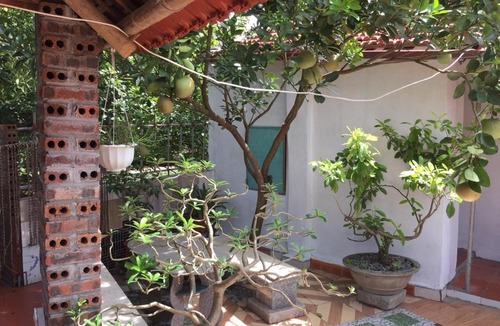 Hoa Lu House | Hung Anh Homestay