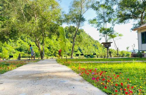 Son Trach Cabin | Huy-Homestay